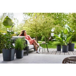 elho greensense aqua care, kwadratowa 30 cm - grafitowy szary