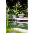 elho greenville Planter 60cm with Rollers - Living Concrete