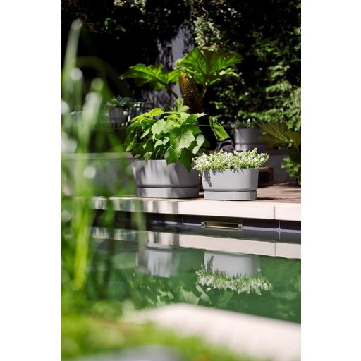 greenville korito za rastline s kolesi 60 cm - living beton