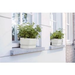 elho greenville Planter Long 50cm - White