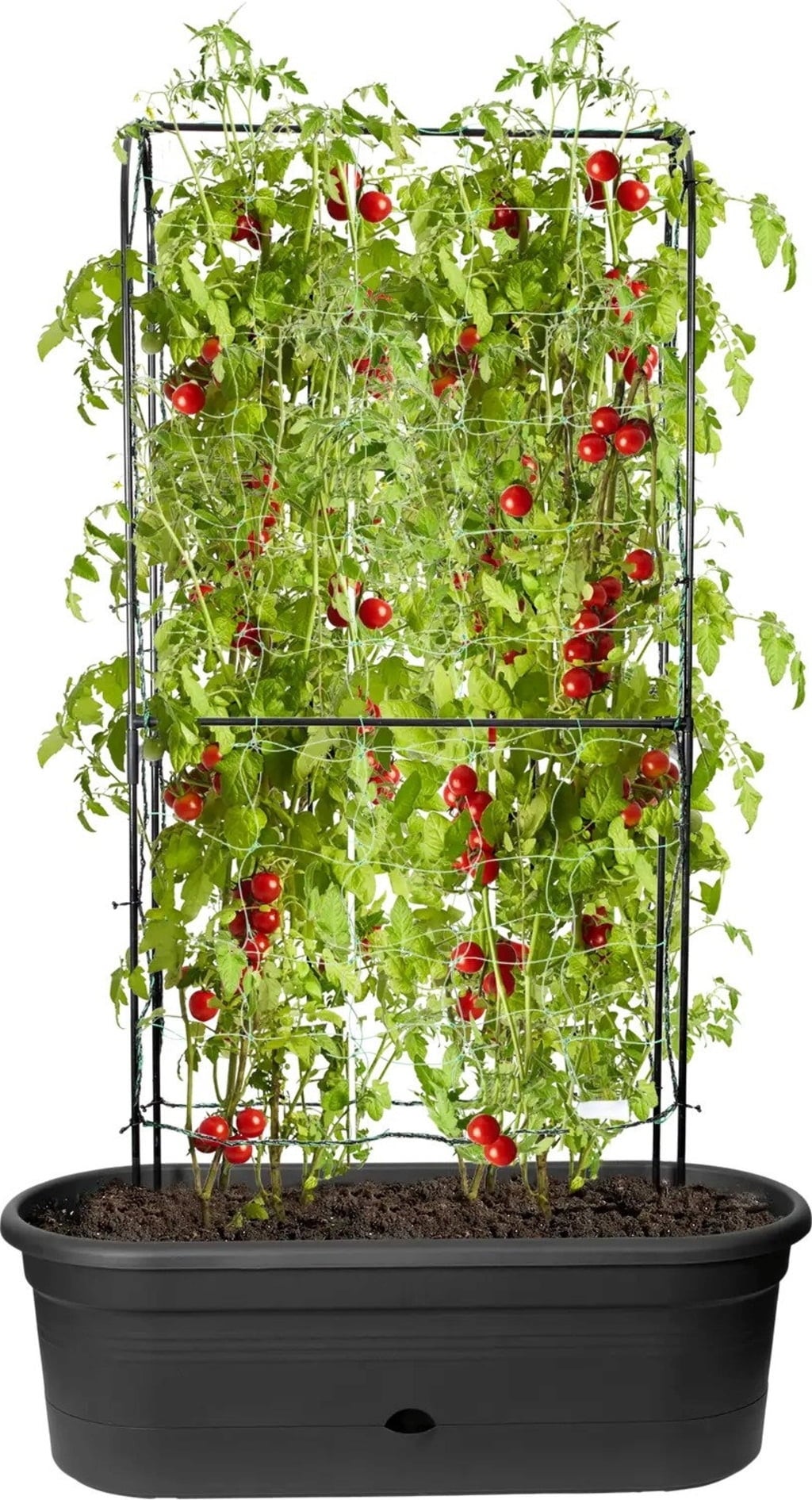 elho green basics veggie wall 80 cm - 1 item