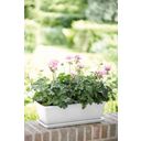 elho barcelona trough, 90 cm - bianco