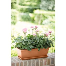 elho barcelona Balcony Box 70cm - Terra