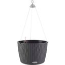 Lechuza NIDO Cottage 35 Hanging Planter - Granite