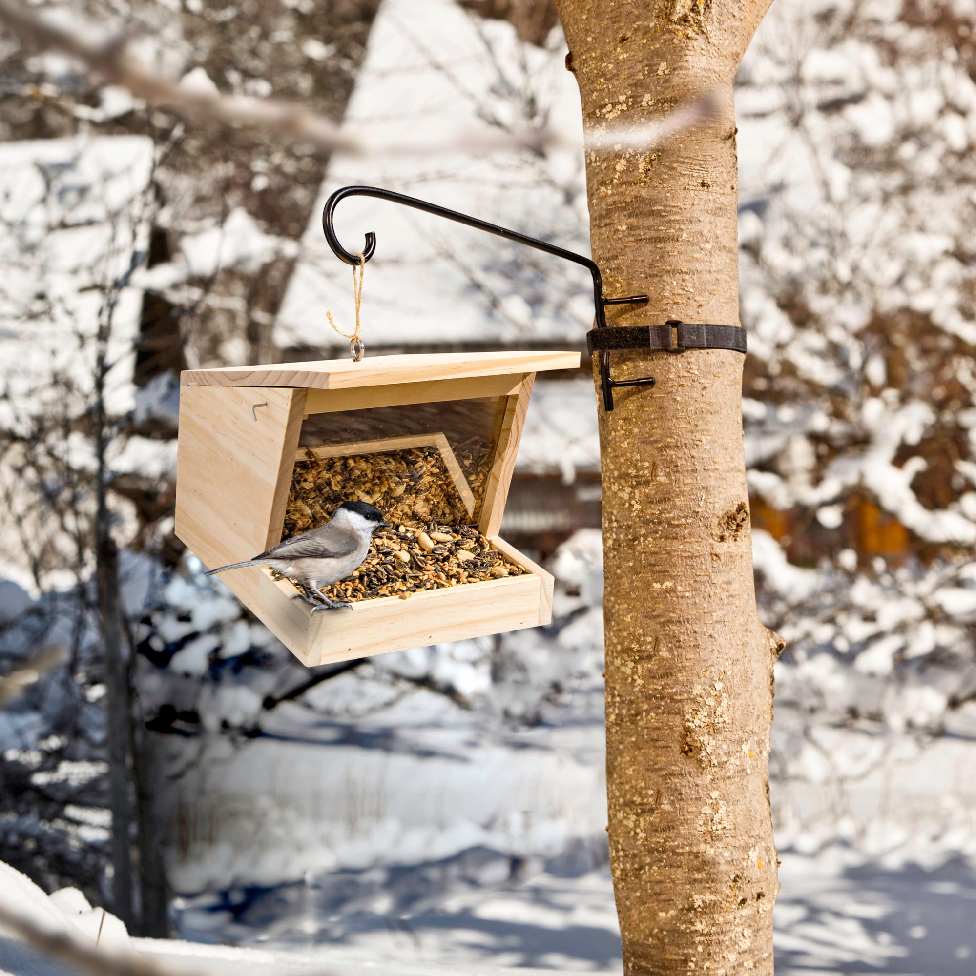 Windhager Support à Mangeoire pour Arbre - 1 pcs