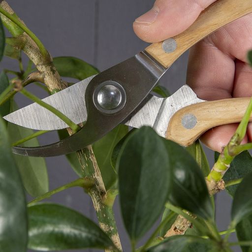 Darilni set orodij za obrezovanje rastlin - 1 set.