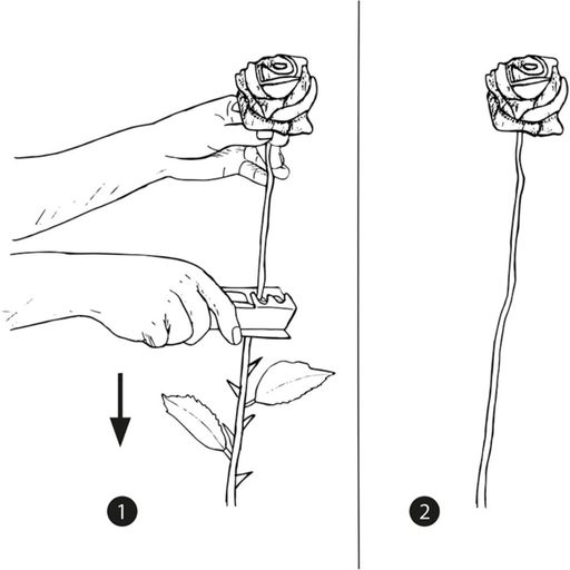 Esschert Design Rose Thorn Remover - 1 item