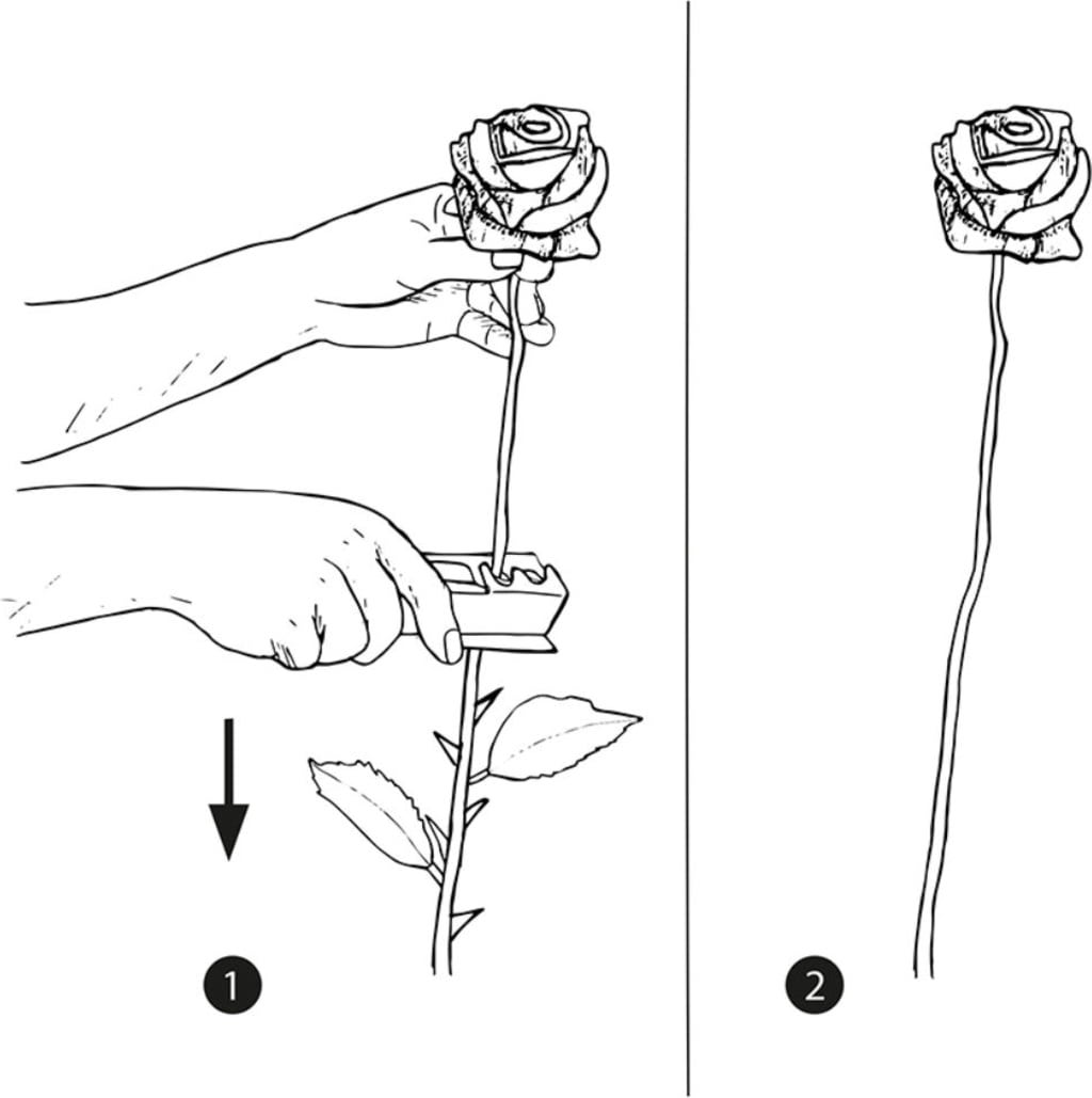 Esschert Design Rosentaggsskärare - 1 st.