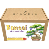 growbro Bonsai "Wisteria" Anzucht-Set