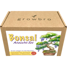 growbro Bonsai "Wisteria" Kweekset