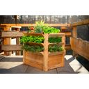 Westmann Premium Raised Bed - XL