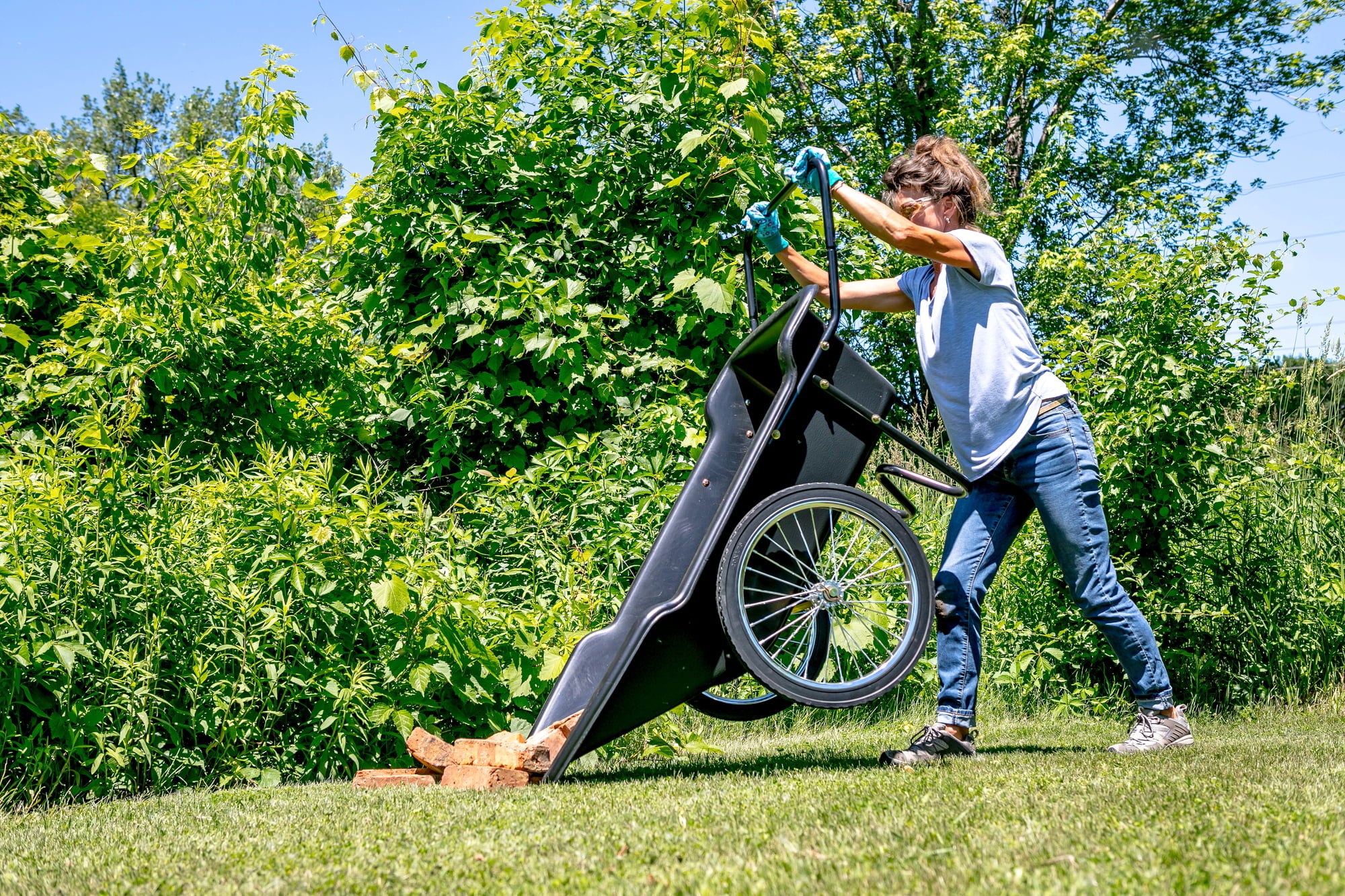 Polar Wheelbarrow - Premium - 1 item