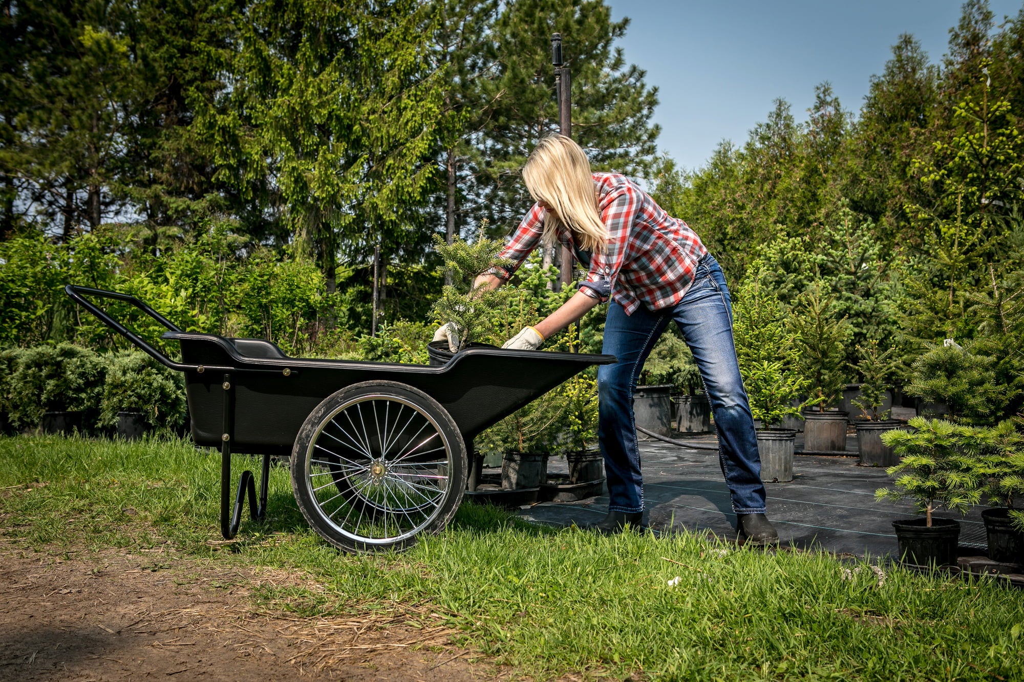 Polar Wheelbarrow - Premium - 1 item