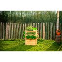 Westmann Premium Raised Bed - L