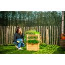 Westmann Premium Raised Bed - L