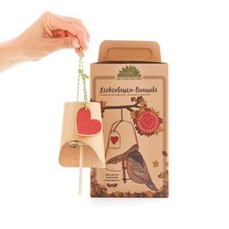 Nourriture pour Oiseaux "Cloche Gourmande DIY"