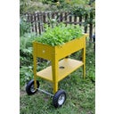 Orto Rialzato su Ruote - Fabbrica di Erbe Urban - Senape