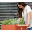Carré Potager sur Roulettes 