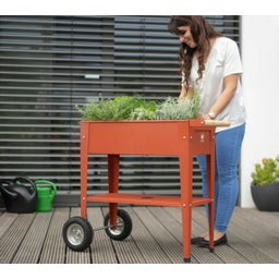 Carré Potager sur Roulettes 