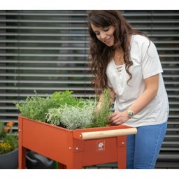 Carré Potager sur Roulettes 