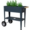 Herstera Urban Herb Factory Mobile Raised Bed - Anthracite