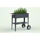 Herstera Urban Herb Factory Mobile Raised Bed - Anthracite