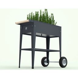 Herstera Urban Herb Factory Mobile Raised Bed - Anthracite