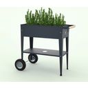 Herstera Urban Herb Factory Mobile Raised Bed - Anthracite