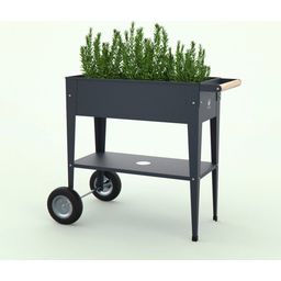 Herstera Urban Herb Factory Mobile Raised Bed - Anthracite