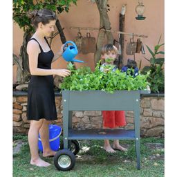 Herstera Urban Herb Factory Mobile Raised Bed - Anthracite