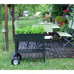 Herstera Urban Herb Factory Mobile Raised Bed - Anthracite