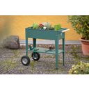 Herstera Urban Herb Factory Mobile Raised Bed - Olive Green