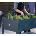 Herstera Swivel Herb Factory Mobile Raised Bed - Anthracite