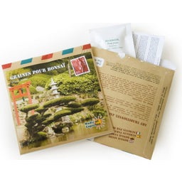 Radis & Capucine Bonsai aus Japan