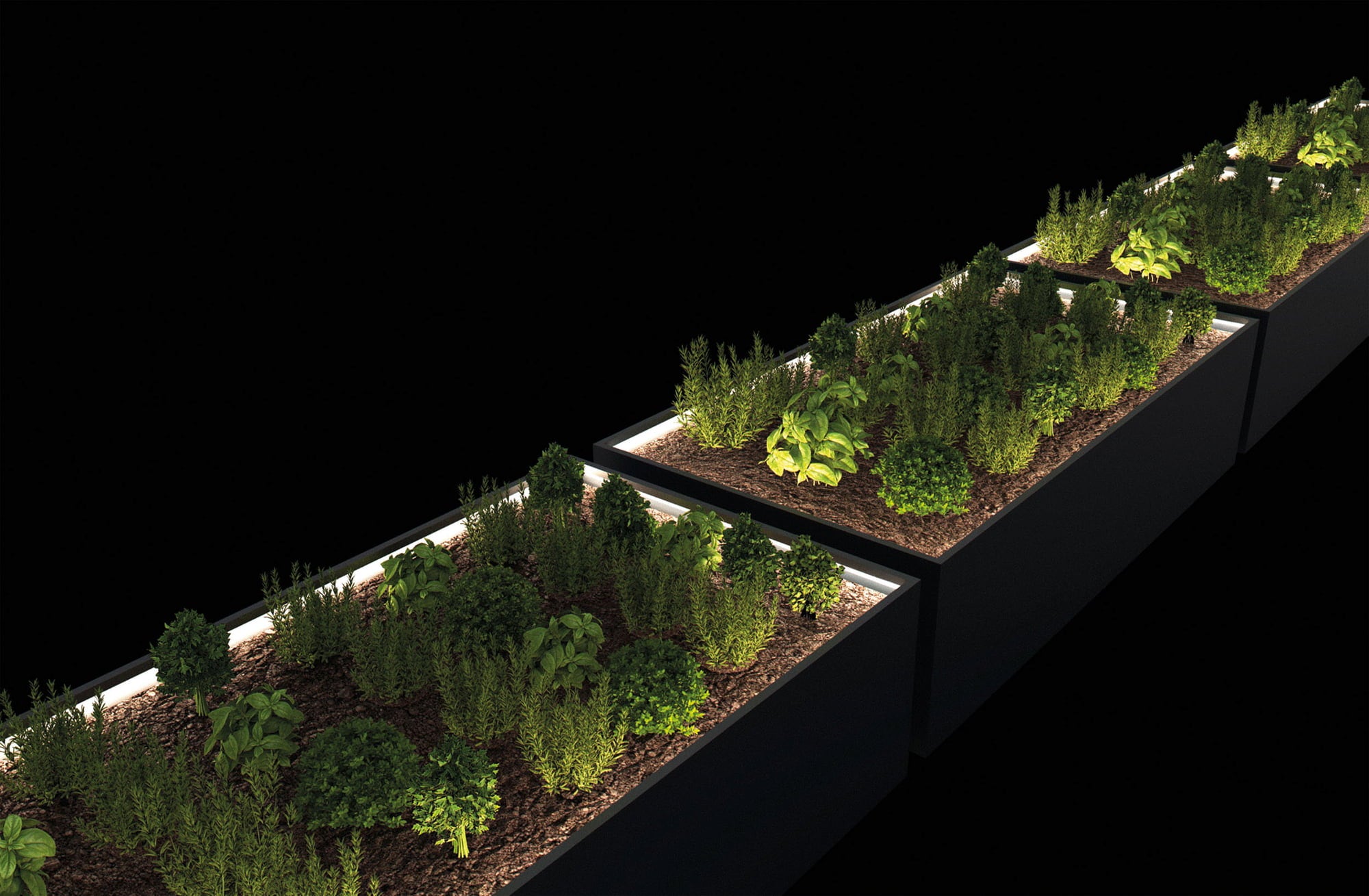 Herstera Carré Potager - 150x100x50 - 