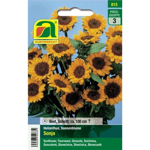 AUSTROSAAT Sunflowers- 