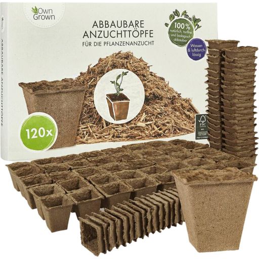 Own Grown Pots de Culture Biodégradables - carrés - 120 pièces