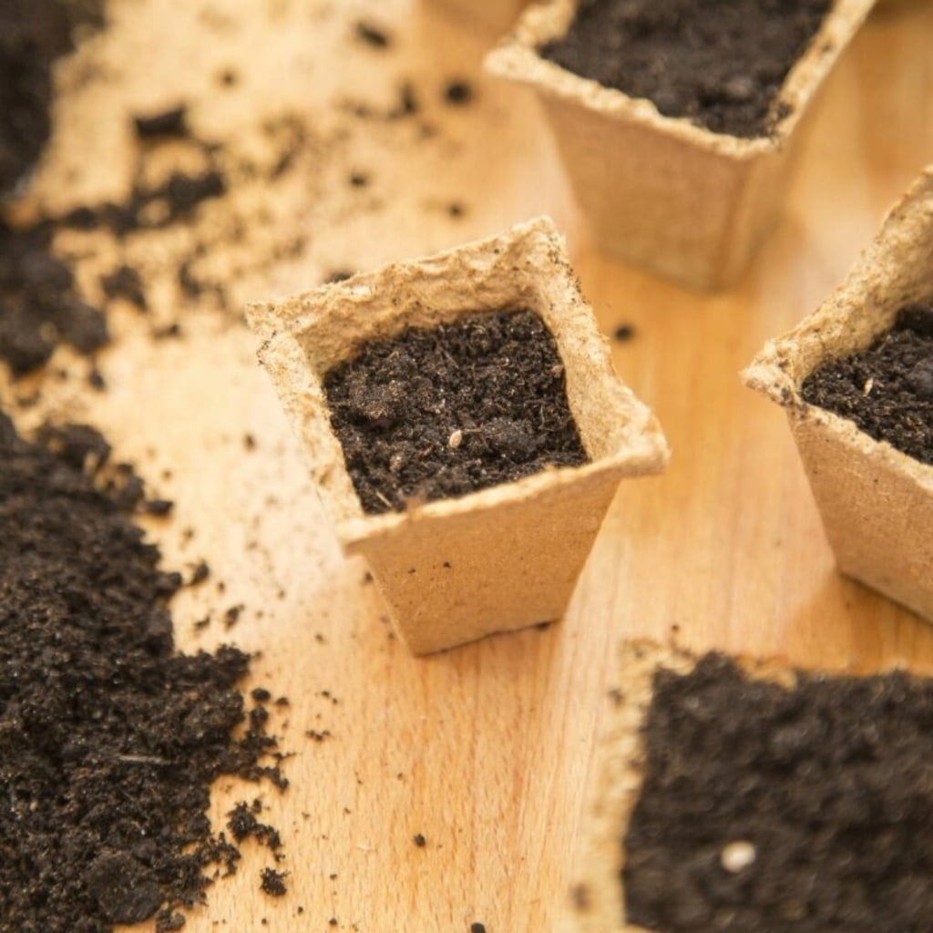 Own Grown Biodegradable Square Growing Pots  - 120 items