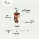Own Grown Pots de Culture Biodégradables - Ronds - 60 pièces