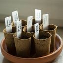 Own Grown Lebomló ültetőpoharak - kerek - 60 darab