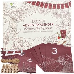 Zaad Adventskalender - Kruiden, Groenten & Fruit - 1 stuk