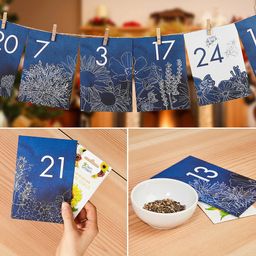 Own Grown Saatgut-Adventskalender Blumen - 1 Stk.