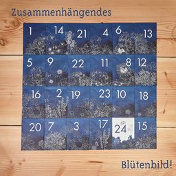 Own Grown Saatgut-Adventskalender Blumen - 1 Stk.