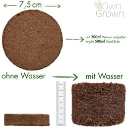 Own Grown Koffie Kweekset - 1 Set