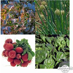 Magic Garden Seeds Bio Balkonkasten-Gemüse - Samenset - 1 Set