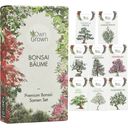 Own Grown Kit de semillas - 8 árboles Bonsai - 1 set