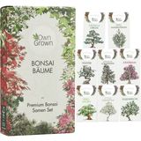 Own Grown Kit de semillas - 8 árboles Bonsai