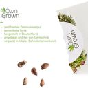 Own Grown Kit de semillas - 8 árboles Bonsai - 1 set