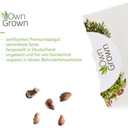 Own Grown Sada 8 druhov semien bonsajov - 1 sada