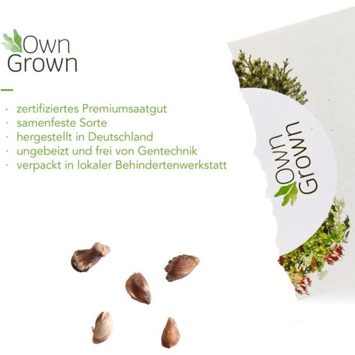 Own Grown Bonsaj drevesa 8 vrst semen - 1 set.